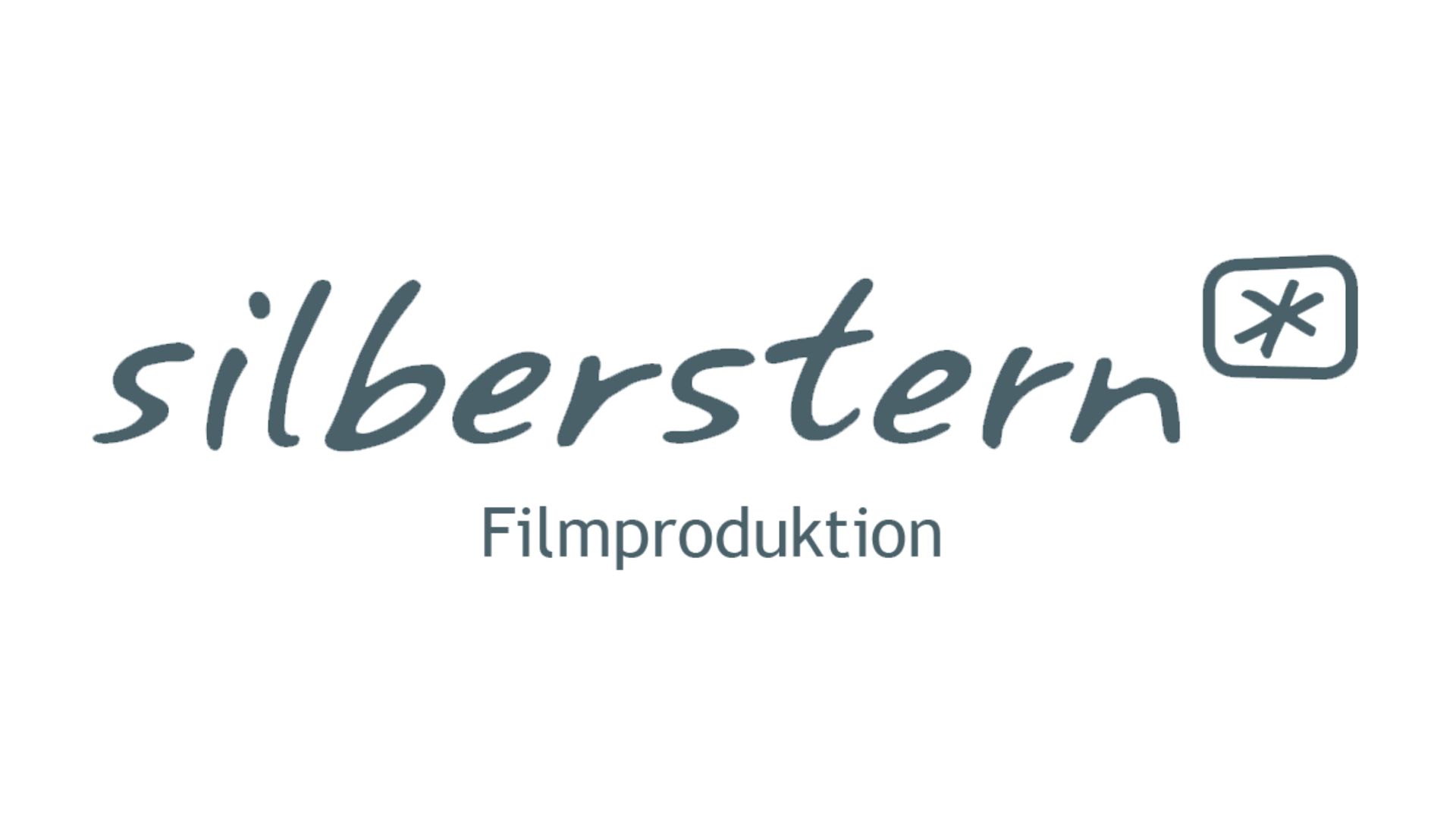 logo silberstern filmproduktion schrift grau